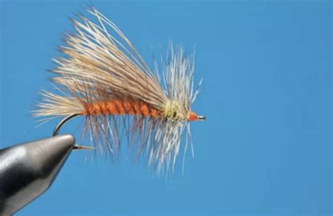 Dry Fly Fishing Basics And The 10 Best Dry Flies Of All Time Wet Fly