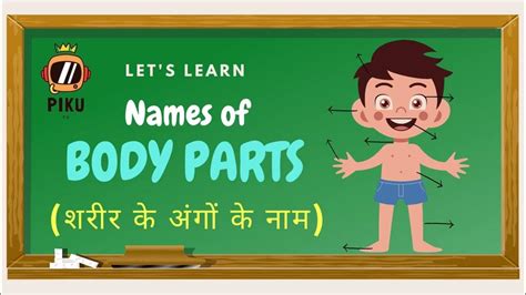 Human Body Parts Name Hindi And English With Pictures शरीर के अंग