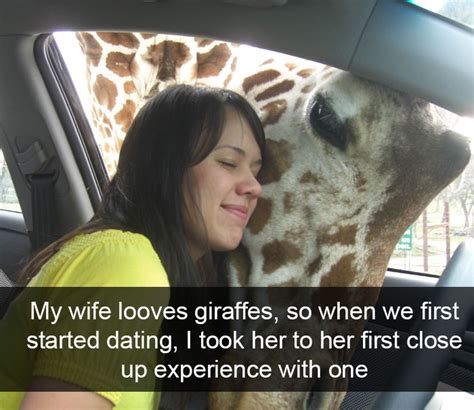 30 Funny Instagram Stories About Animals