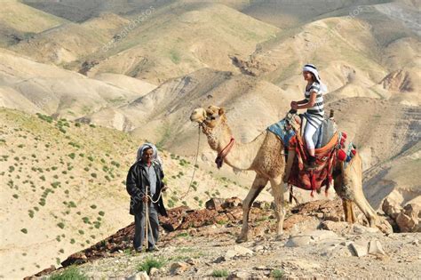 Camel Ride And Desert Activities In The Judean Desert Israel Stock