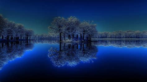Winter Trees Reflection On Body Of Water Under Starry Sky During