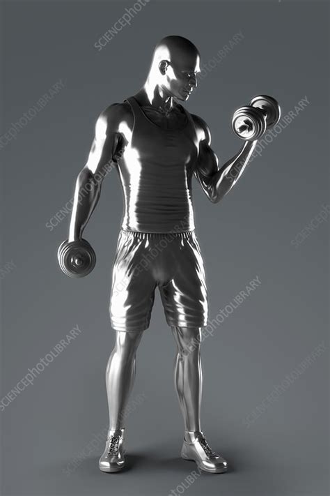 Exercise Workout Artwork Stock Image C0205412 Science Photo Library