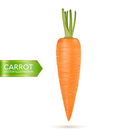 Premium Vector Realistic Carrot Icon Isolated On White