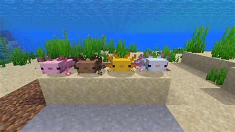 New Minecraft Axolotl Colors Yourdiki