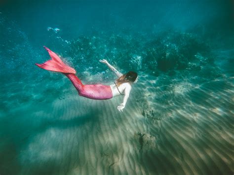 Maui Mermaid Tour Review Hawaii Mermaid Adventures