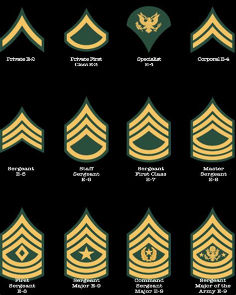 Army Nco Rank Insignia