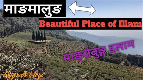 Mangmalung Illam Vlog Very Beautiful Place Of Nepal Mangmalung Mangeebungillam Youtube