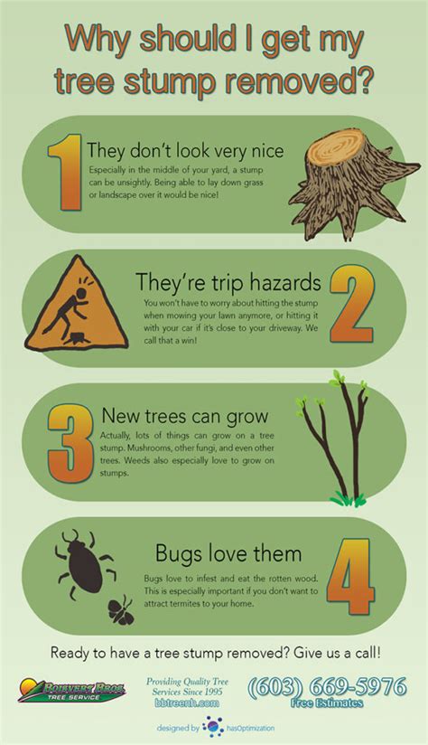 4 Reasons You Should Remove That Tree Stump Infographic