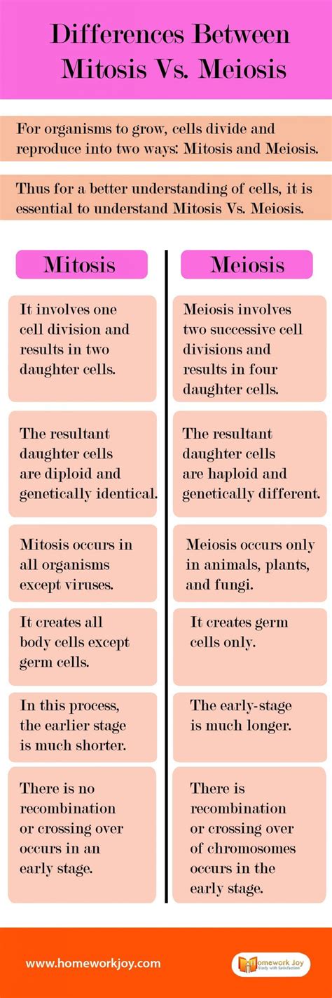 56 Best Of What Are The Similarities Between Meiosis And Mitosis Insectza