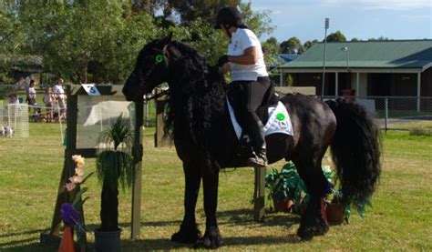 Pictures Working Equitation Australia Sandford Park Equestrian