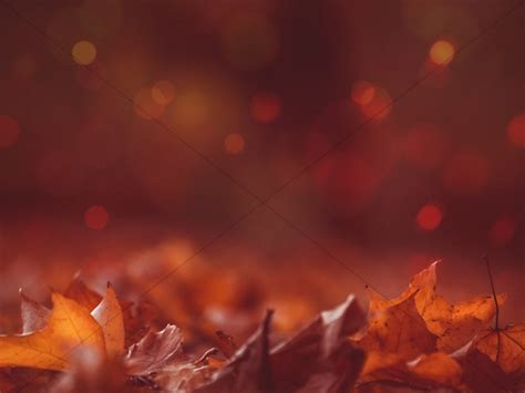 Autumn Leaves Bokeh Worship Background Clover Media