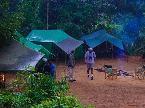 Sinharaja Rainforest Camping Tour Rustic Tour Guide Rainforest