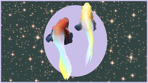 While pisces are generally thought to be most romantically compatible with capricorn, cancer, leo, and taurus (and least compatible with however, in the right circumstances, pisces' natural creative abilities and their skill at working with others can allow them to shine at work. Pisces Horoscope February 2020 — Love and Career ...