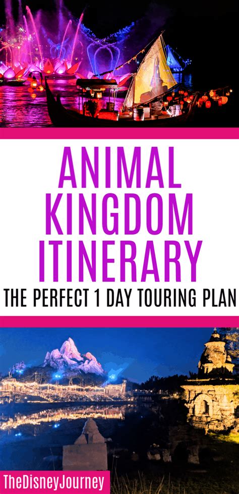 Animal Kingdom Itinerary And Strategy Ideas 2024 The Disney Journey