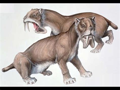 Art Illustration Prehistoric Mammals Thylacosmilus Is An Extinct