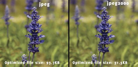 Imageengine Introduces Jp2 Jpeg2000 For Apple Devices Imageengine