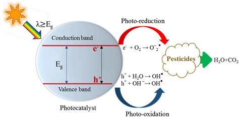 Molecules Free Full Text Study Of The Photocatalytic Degradation Of