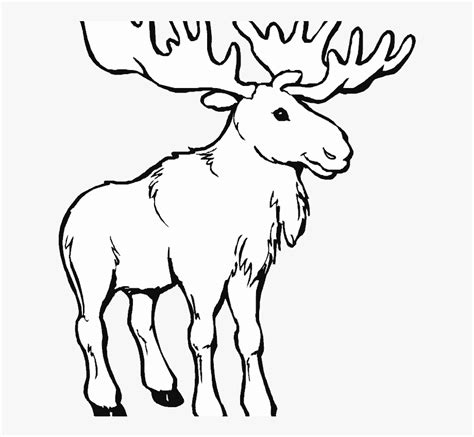 Black And White Moose Clipart 10 Free Cliparts Download Images On