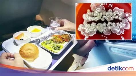 Baki Makanan Di Pesawat Ternyata Paling Jorok Ini Faktanya