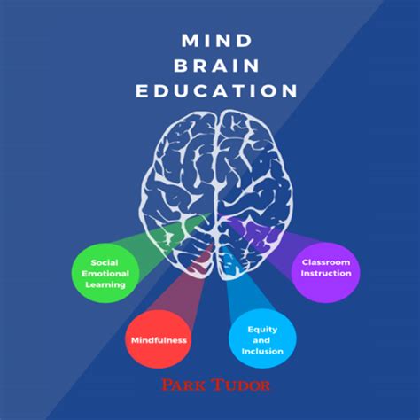 The Mind Brain And Education Journey Posts