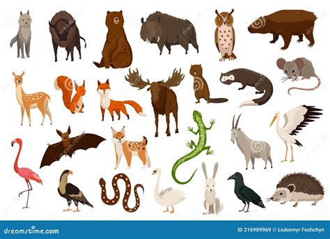 Animals Of Europe Nature Fauna Collection Geographical Local Fauna