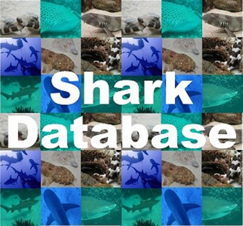 Shark Database List Of Known Sharks