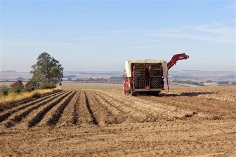 Potato Harvester Stock Image Image Of Wolds Landscape 21338219