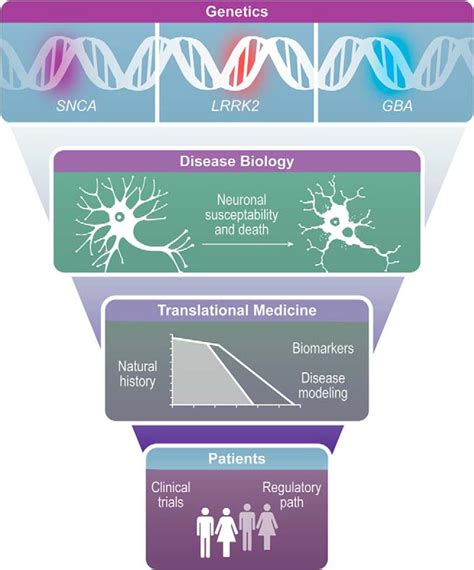 New Frontiers In Parkinsons Disease From Genetics To The Clinic Journal Of Neuroscience