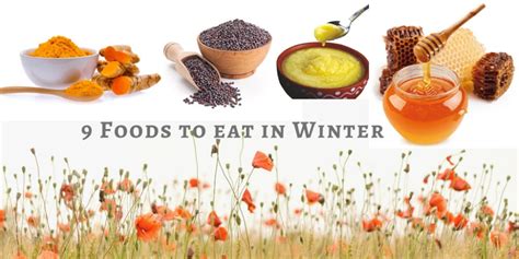 9 Must Have Foods During Winter Nativ Chefs