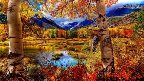 Awesome Bright Autumn Scenery Wallpaper1366x76861883 Hd Fall