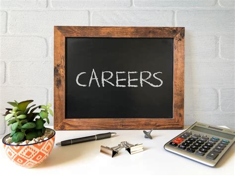 Career Transitions And Reinvention Blog For Matured Adults For Career