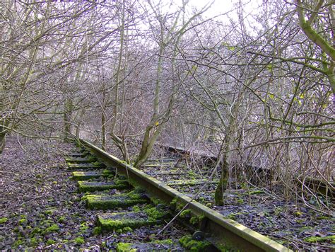 Railroad Claimed Back By Nature Abandoned Train Photography Ideas