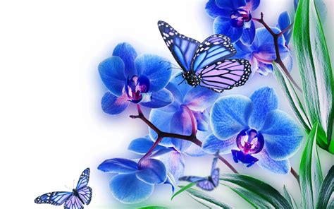 74 Blue Butterfly Wallpaper On Wallpapersafari
