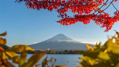 Mount Fuji And Lake Kawaguchiko In Autumn It Is A Popular Tourist
