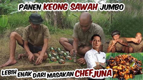 Keong Sawah Rasanya Mewah Lebih Enak Dari Masakan Chef Junnnaa