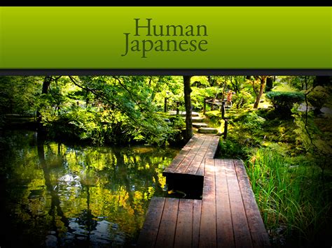 [Japanese Learning Resource Review]: Human Japanese | Learn japanese, Japanese, Japanese 