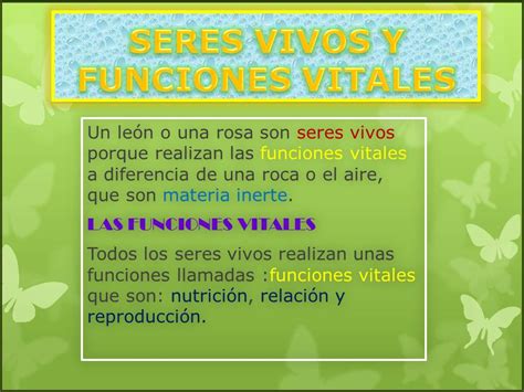 Cosas De Ni Os Para La Escuela Funciones Vitales De Los Seres Vivos