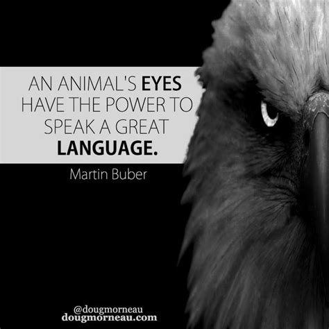 An Animals Eyes Have The Power To Speak A Great Language ~ Martin
