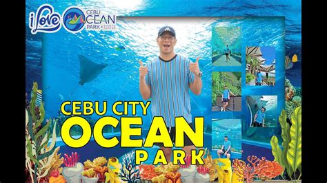 Cebu Ocean Park 2020 Largest Oceanarium In The Philippines Youtube