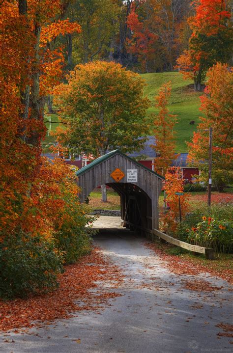 Classic Vermont Fall Foliage Tour All Day Local Captures