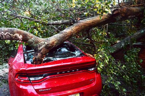 Hurricane Michaels Death Toll Rises After Five Killed In Virginia