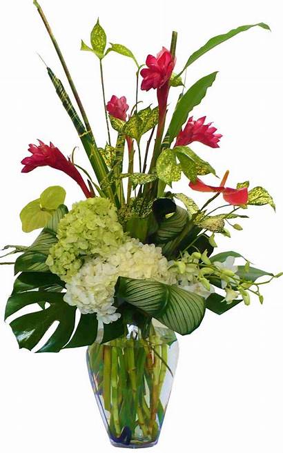 Ginger Flower Arrangements Arrangement Vase Result Google