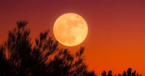 Harvest Moon How To Witness The Sept 29 Celestial Wonder In Singapore