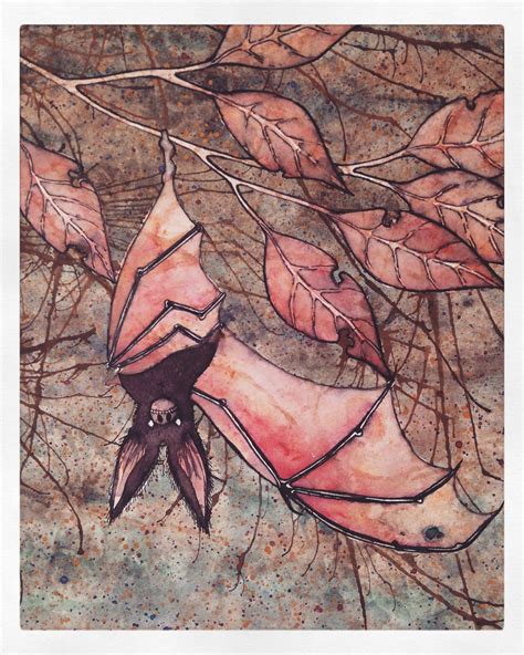 Flickrpykmgj2 Bat Painting Taken From My Sketchbook Pen