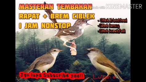 Langsung saja jangan ragu untuk menginstal aplikasi yang bagus. MASTERAN CIBLEK SEMI/CIBLEK KRISTAL/CIBLEK GUNUNG/CIBLEK SAWAH/CIBLEK PADI. NEMBAK+BREM - YouTube