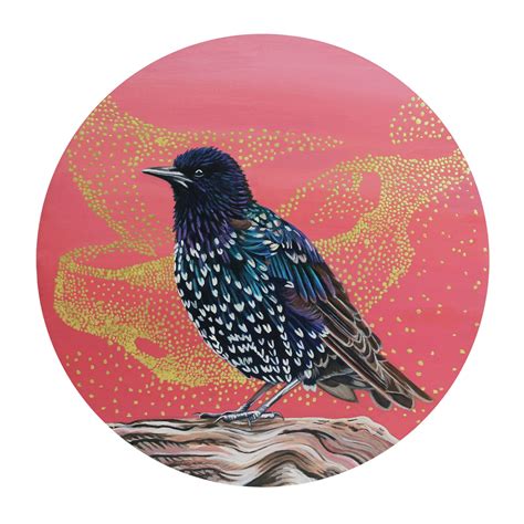 Secret Teller - Every Day Original