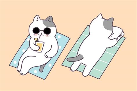 Cartoon Cute Summer Cat On Beach Vector 558464 Vector Art