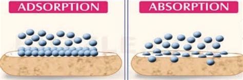 Adsorption Chemistry Class 12 Surface Chemistry