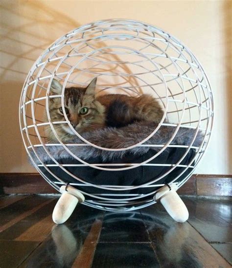 11 Luxurious Cat Beds