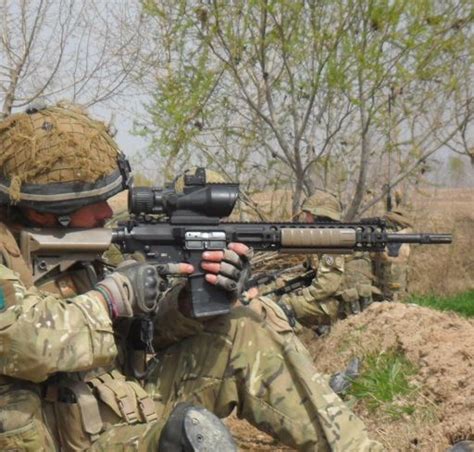 You can find out about the history of its development and technical we hope you will find all the information you are looking for on the l129a1 sharpshooter rifle. L129A1 | Wiki | Military Amino Amino